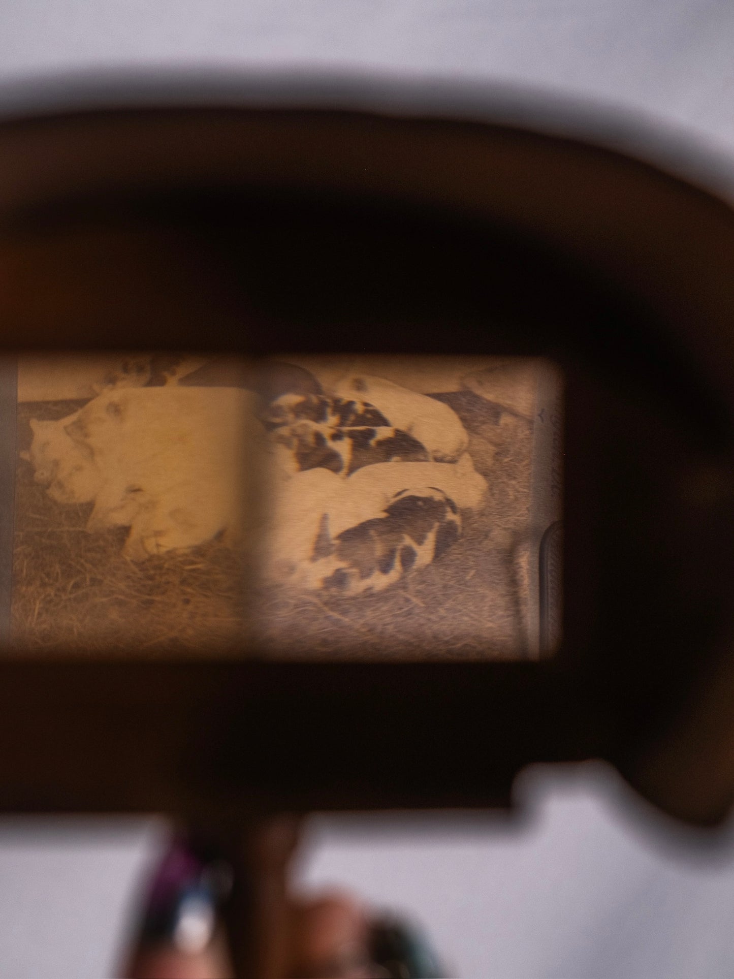 Antique Victorian Stereoscope Viewer w/ Cards