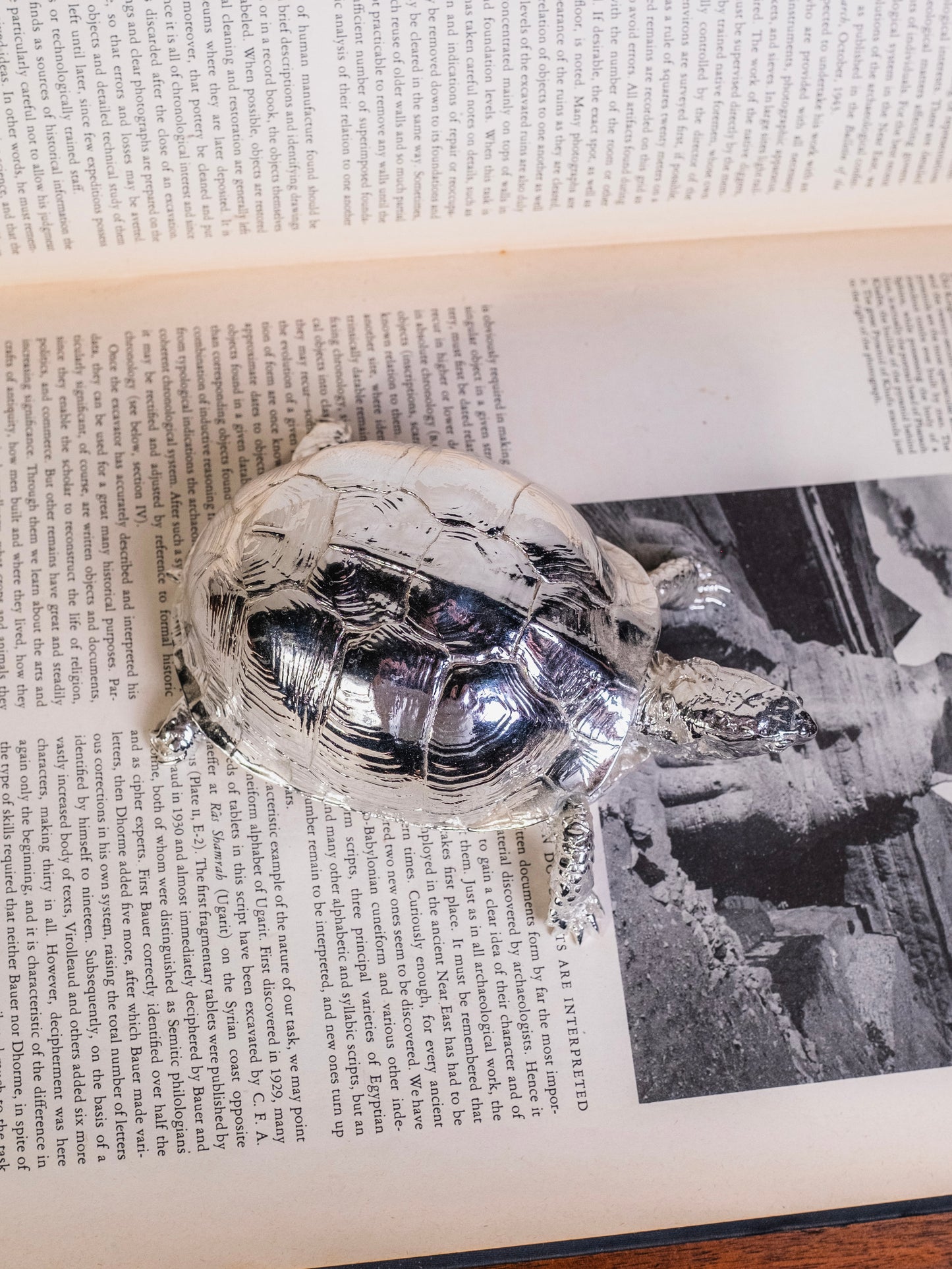 Harry Allen for Areaware Silver Chrome Turtle Trinket Box
