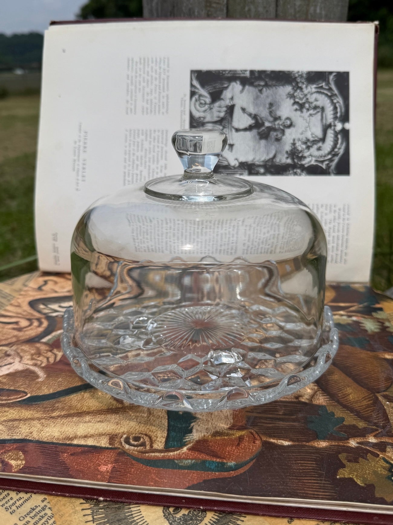 Vintage 1950s Glass Dome Cake Stand