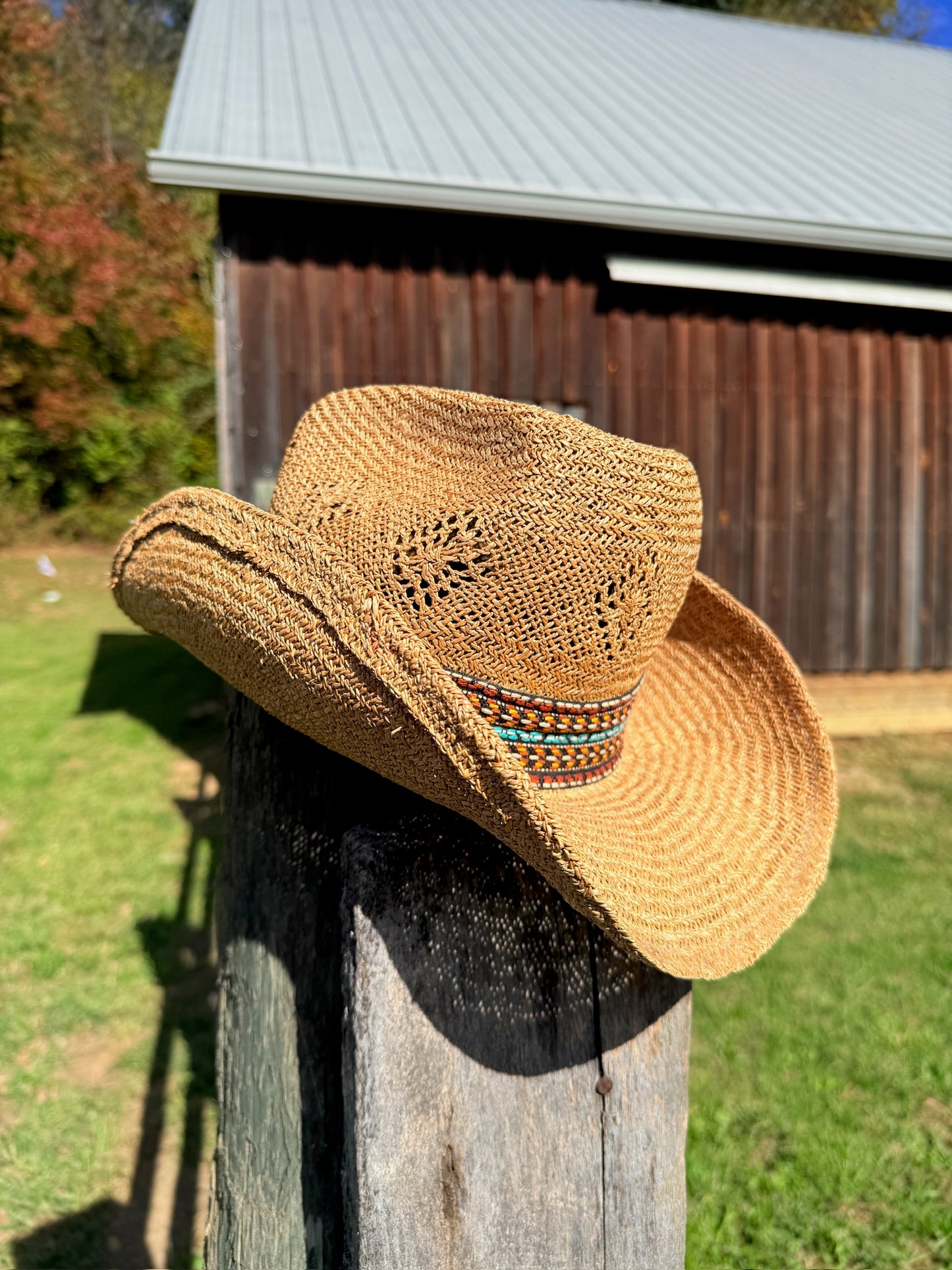 Vintage 1970s Straw Woven Feather Cowboy Hat