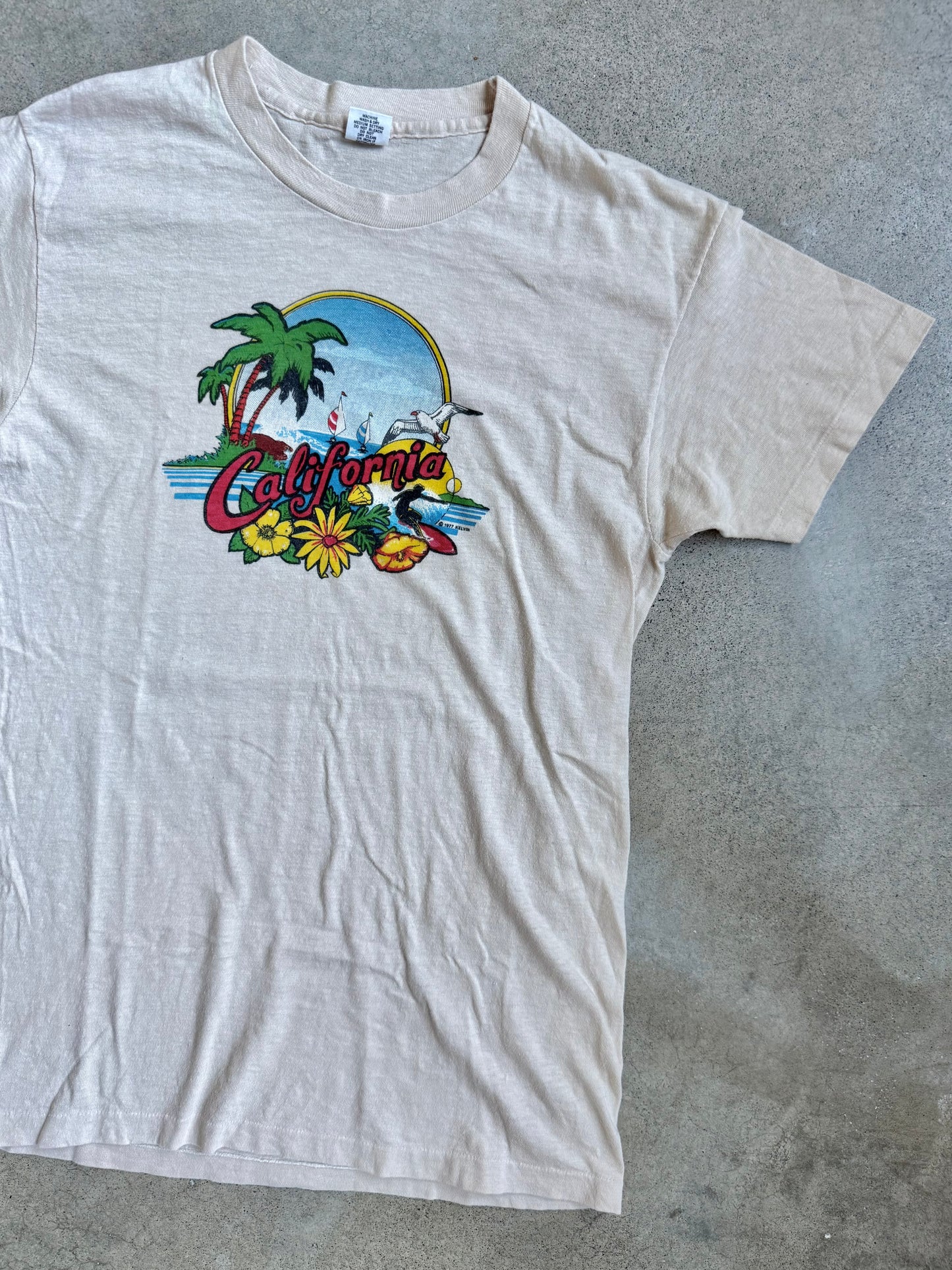 Vintage 1970s California Beach Graphic Tee | Medium