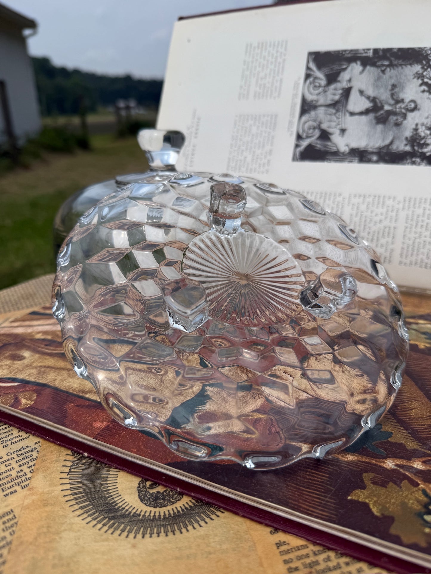 Vintage 1950s Glass Dome Cake Stand