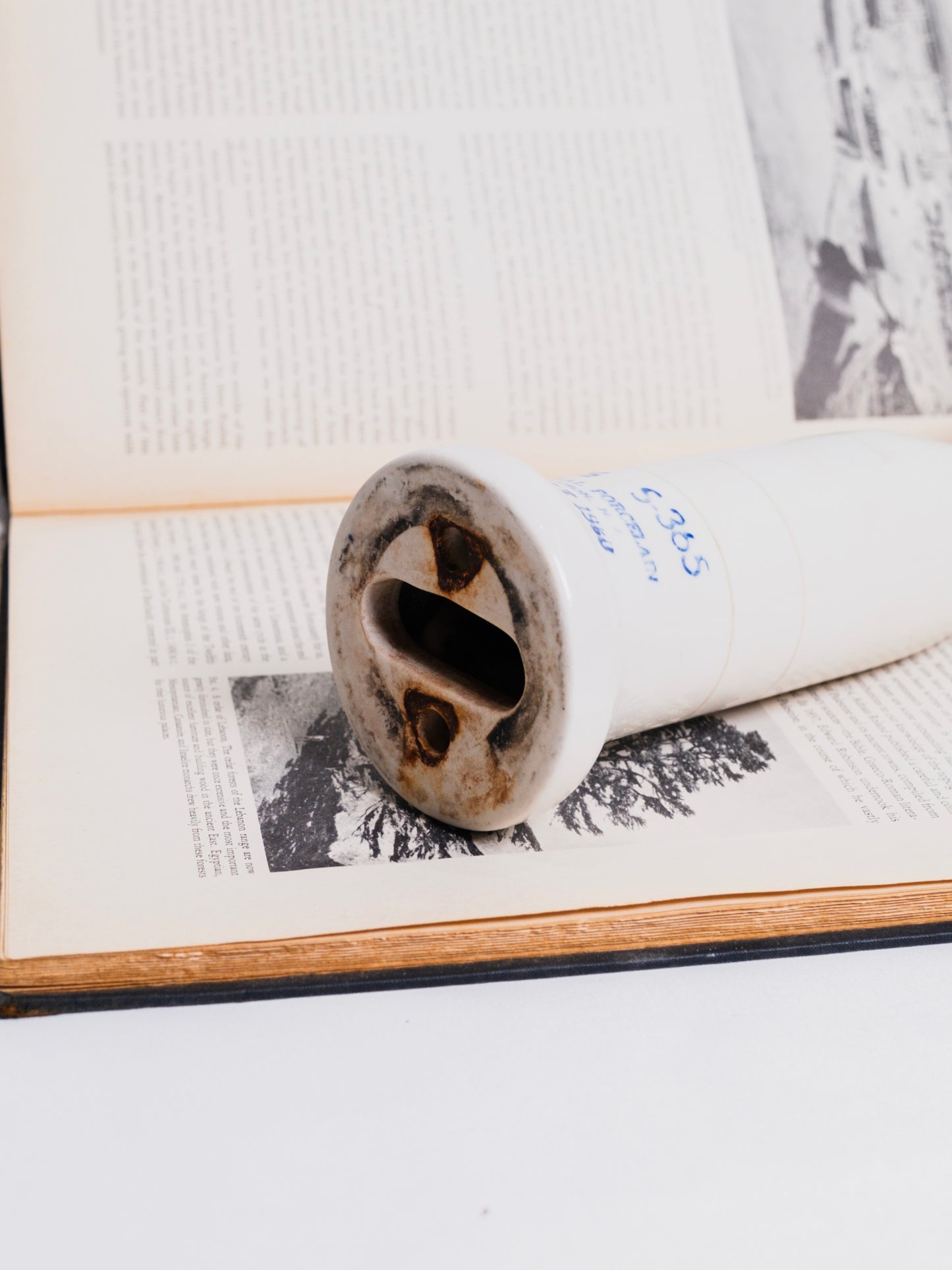 Vintage 1950s Porcelain Left Hand Glove Mold