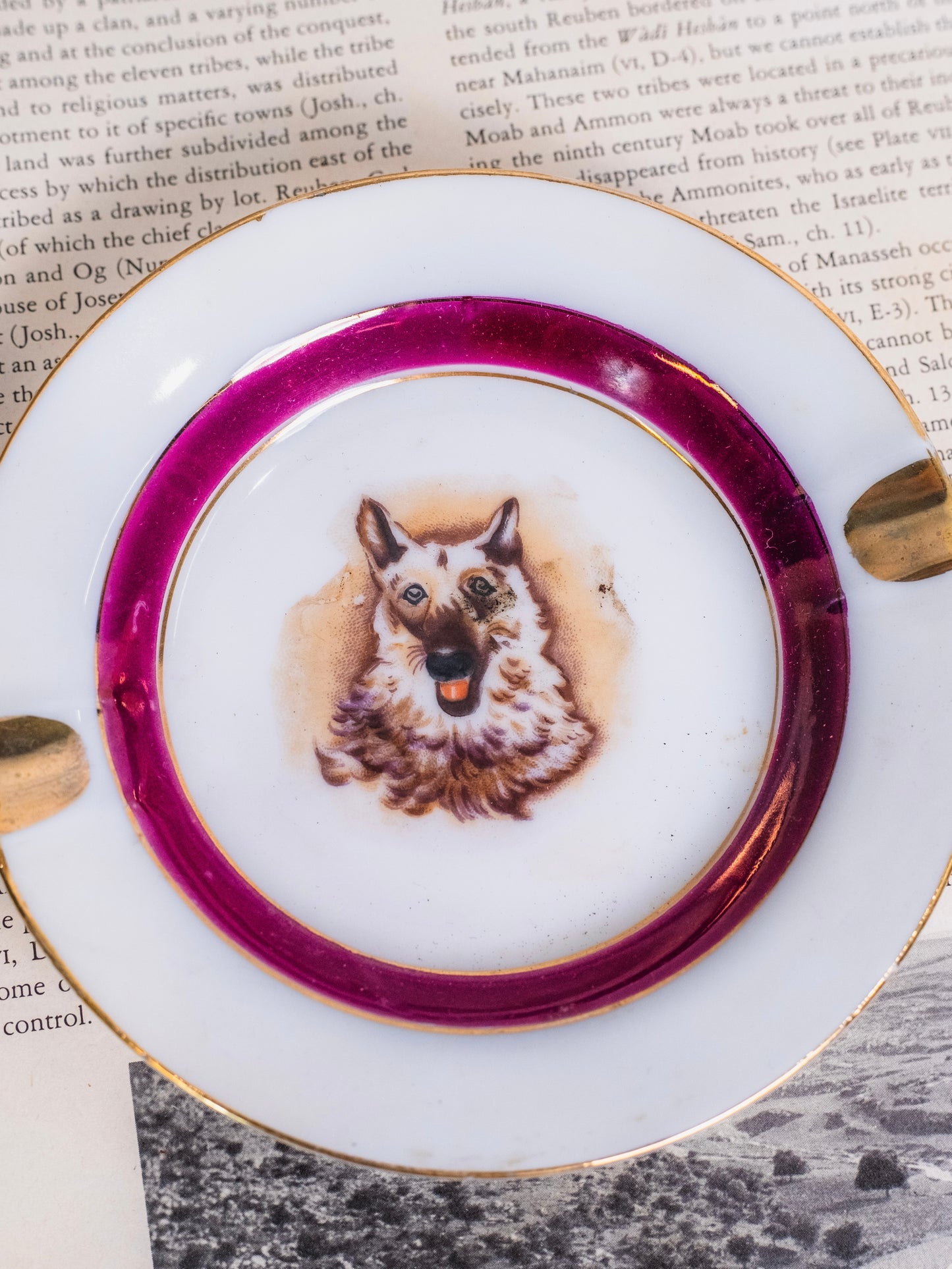 Vintage 1950s Ceramic German Shepherd Ashtray