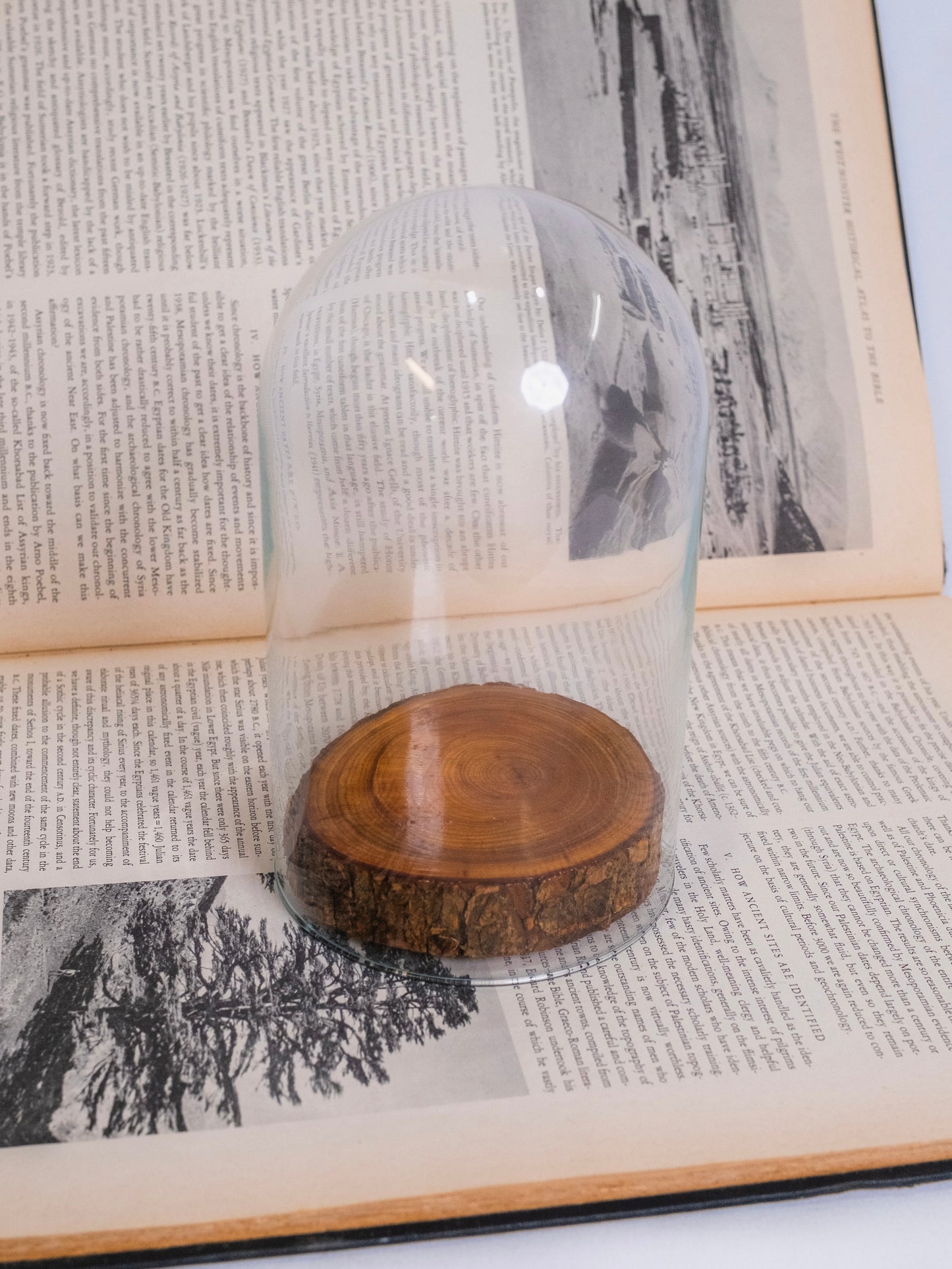 Vintage Glass Dome w/ Wood Base