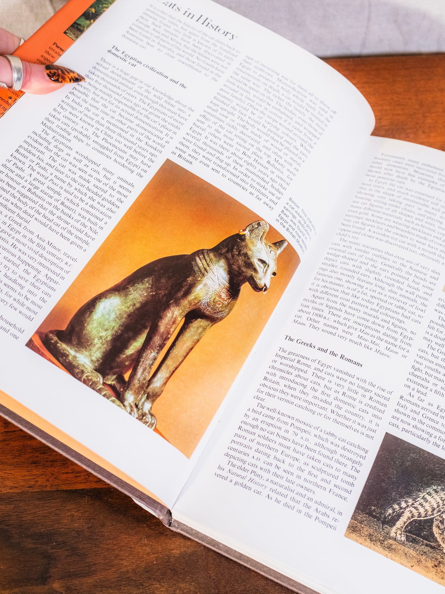 Purnell’s Pictorial Encyclopedia of Cats Book