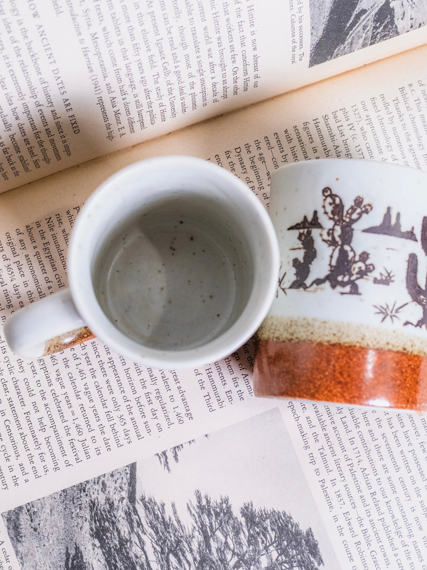 Vintage 1970s Otagiri Ceramic Pottery "Western Cactus" Mugs | Set of 2