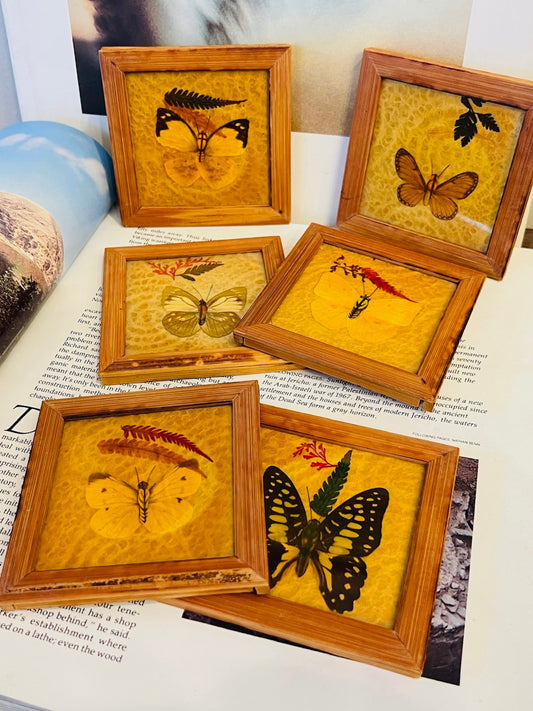 Vintage Wood Frame Butterfly Coasters | Set of 6