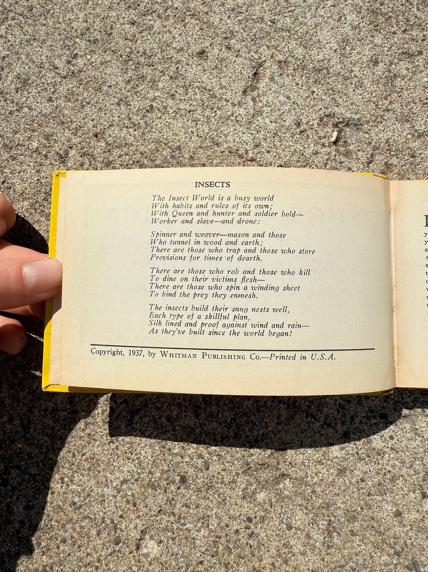 Vintage 1930s Bugs of America Mini Guide Book