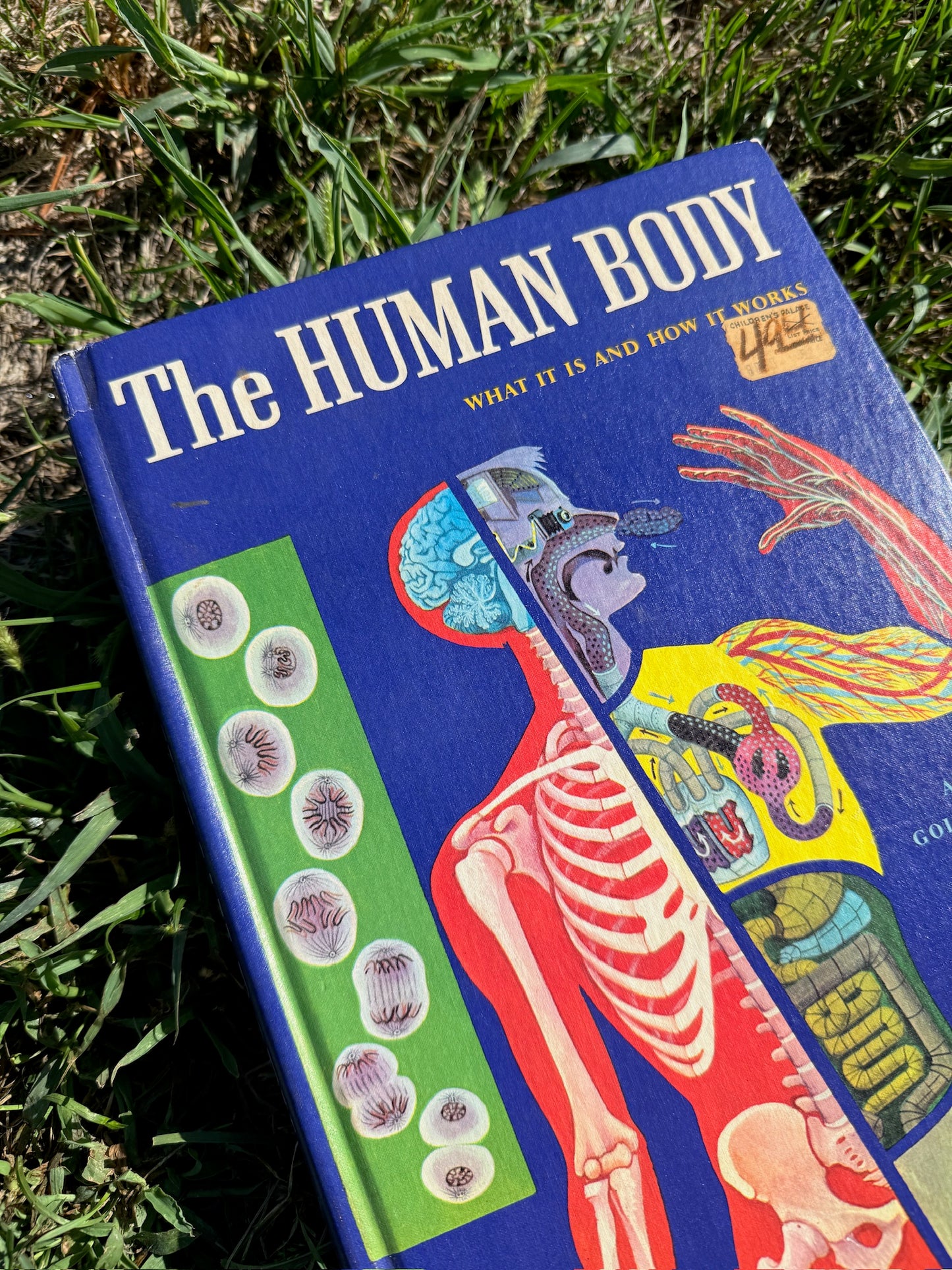 Vintage 1970s The Human Body Textbook