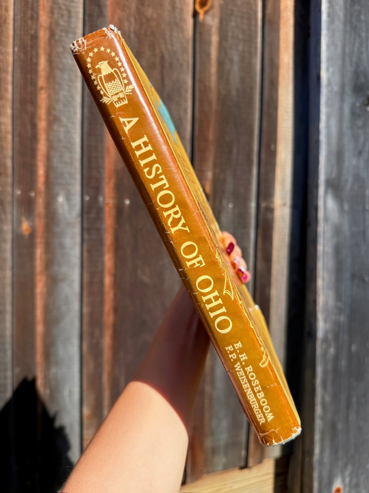 A History of Ohio Book