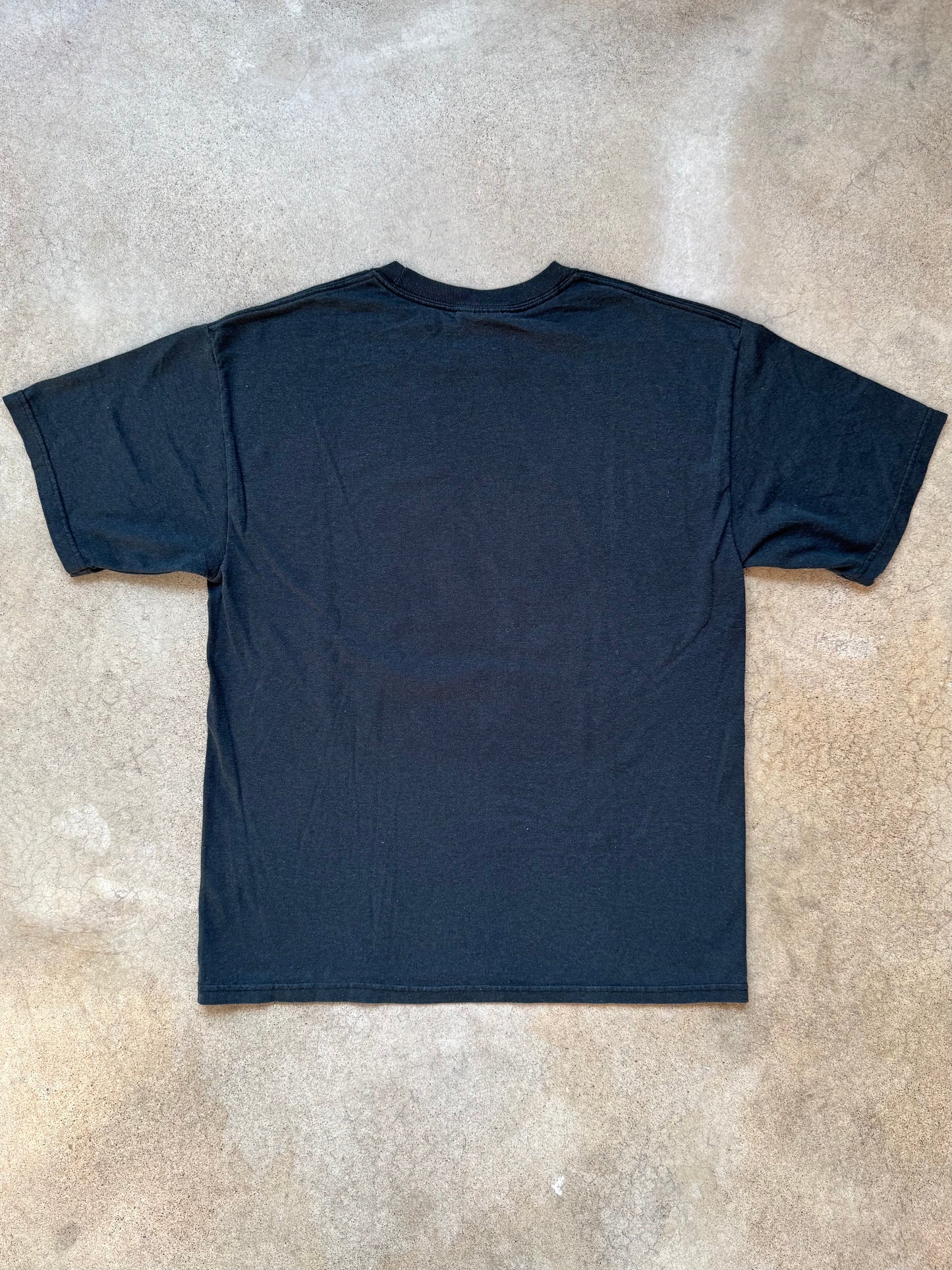 Vintage 1997 Dineh Designs Thom Wheeler Native American “Mother Earth” Graphic Tee | Medium