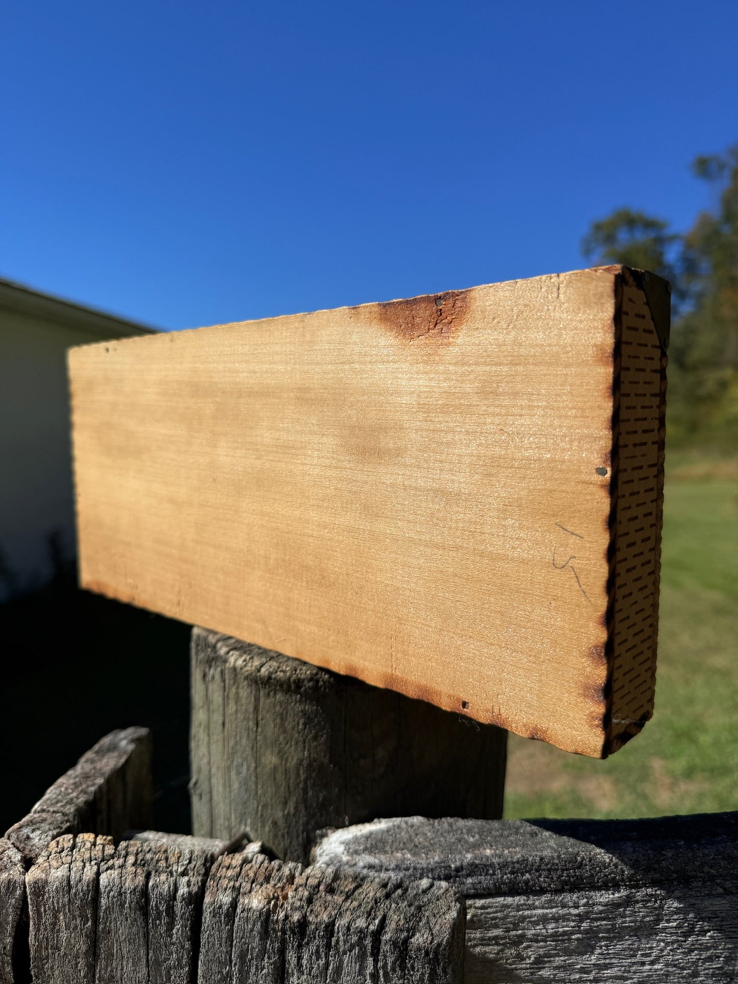 Vintage 1940s Wooden Bird Pattern Pyrography Box