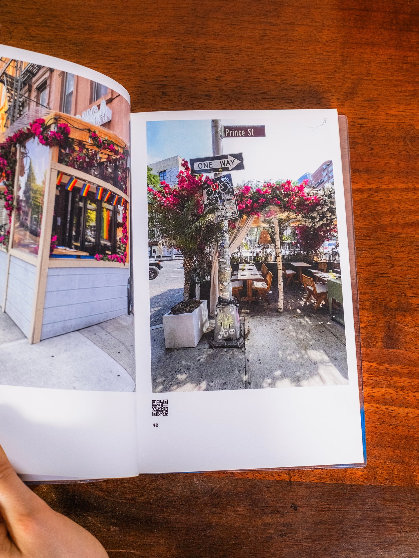Al Fresco: Resilience in New York City Book