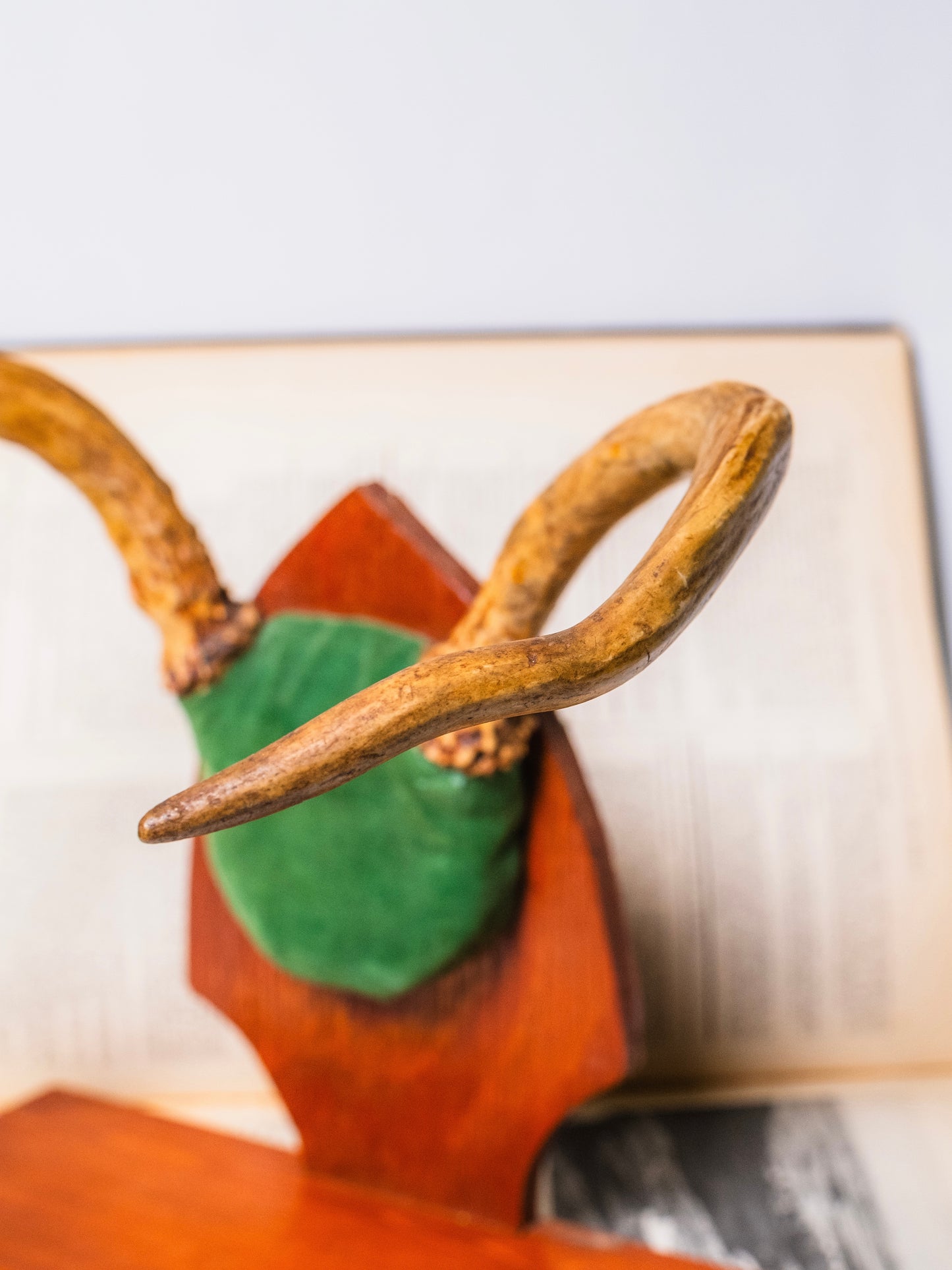 Vintage 1940s Wood Taxidermy Deer Antler Display