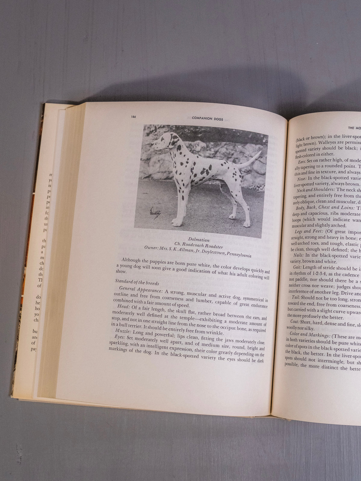 Companion Dogs Book