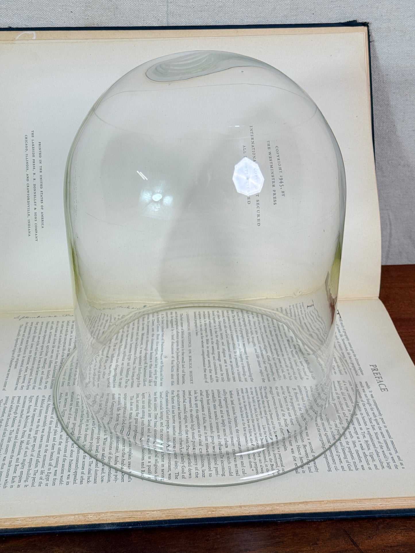 Vintage 1940s Large Glass Display Cloche