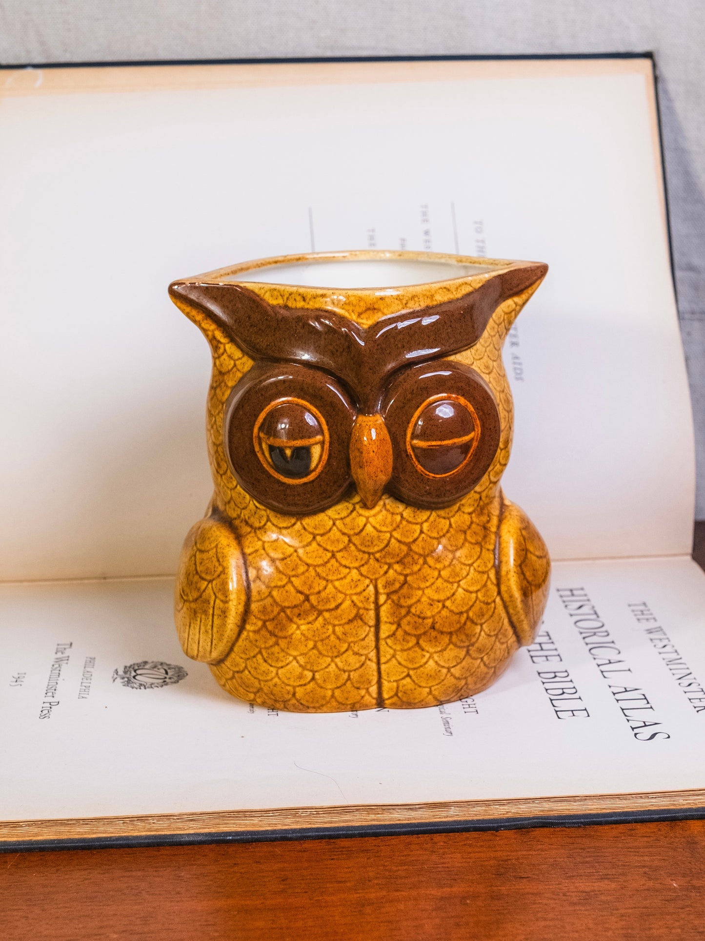 Vintage 1980s Ceramic Owl Utensil Holder | Signed