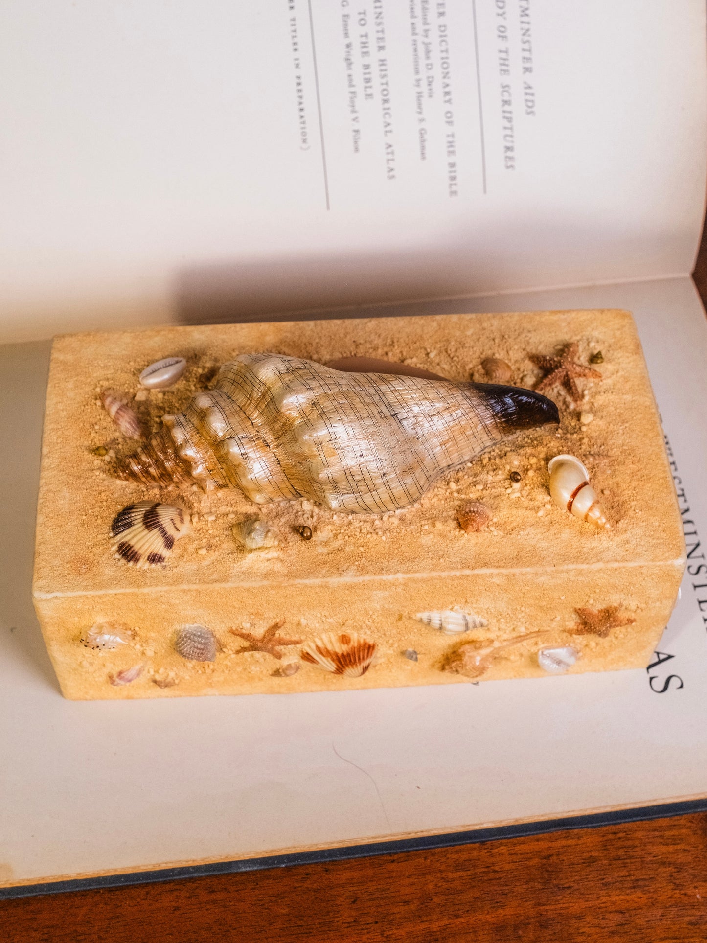 Vintage 1980s Sandy Beach Seashell Tissue Box Cover