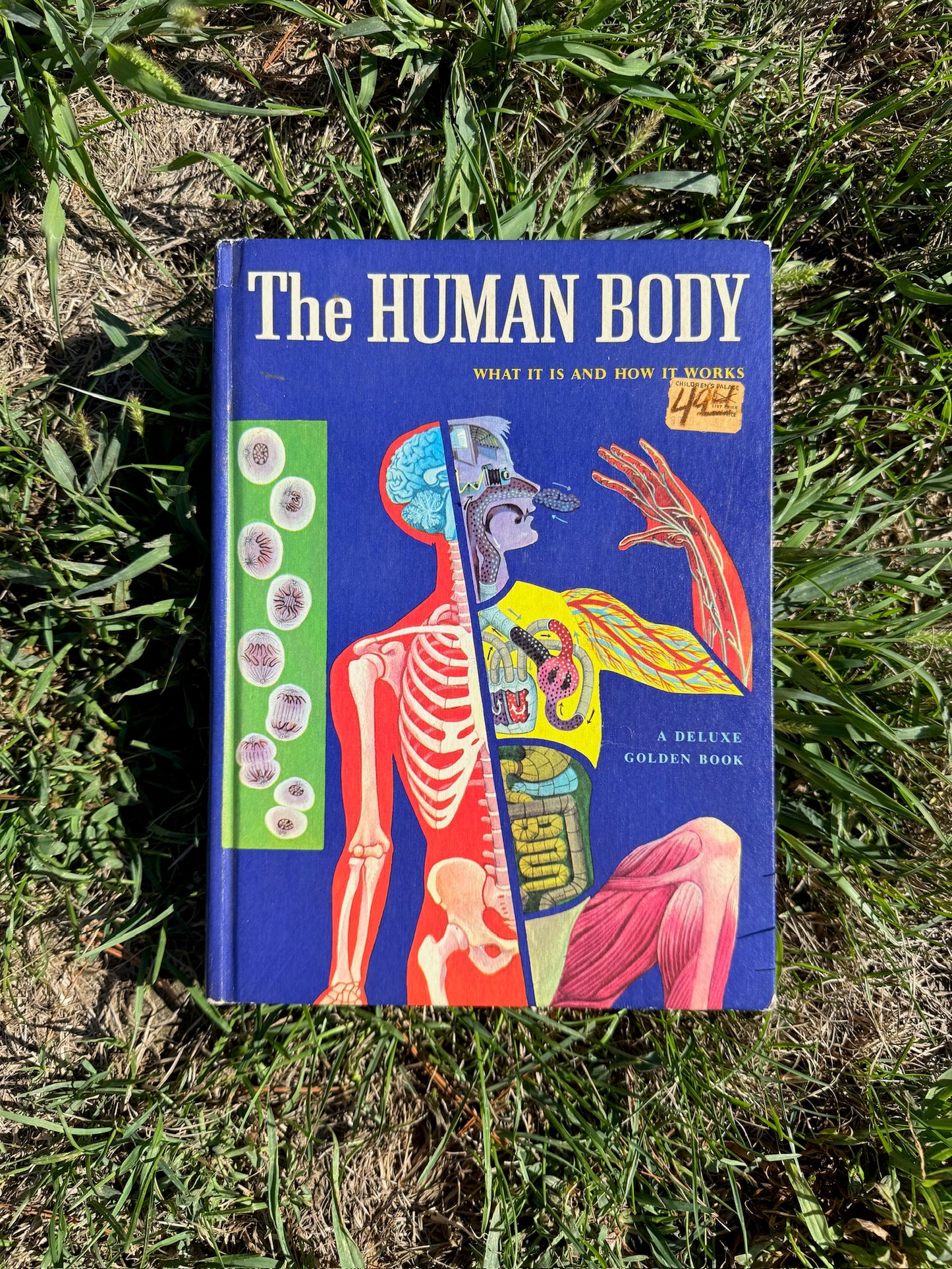 Vintage 1970s The Human Body Textbook