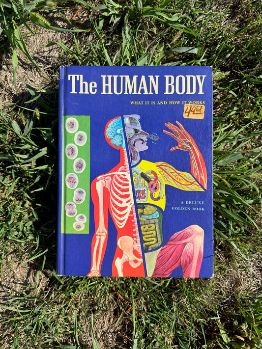 Vintage 1970s The Human Body Textbook