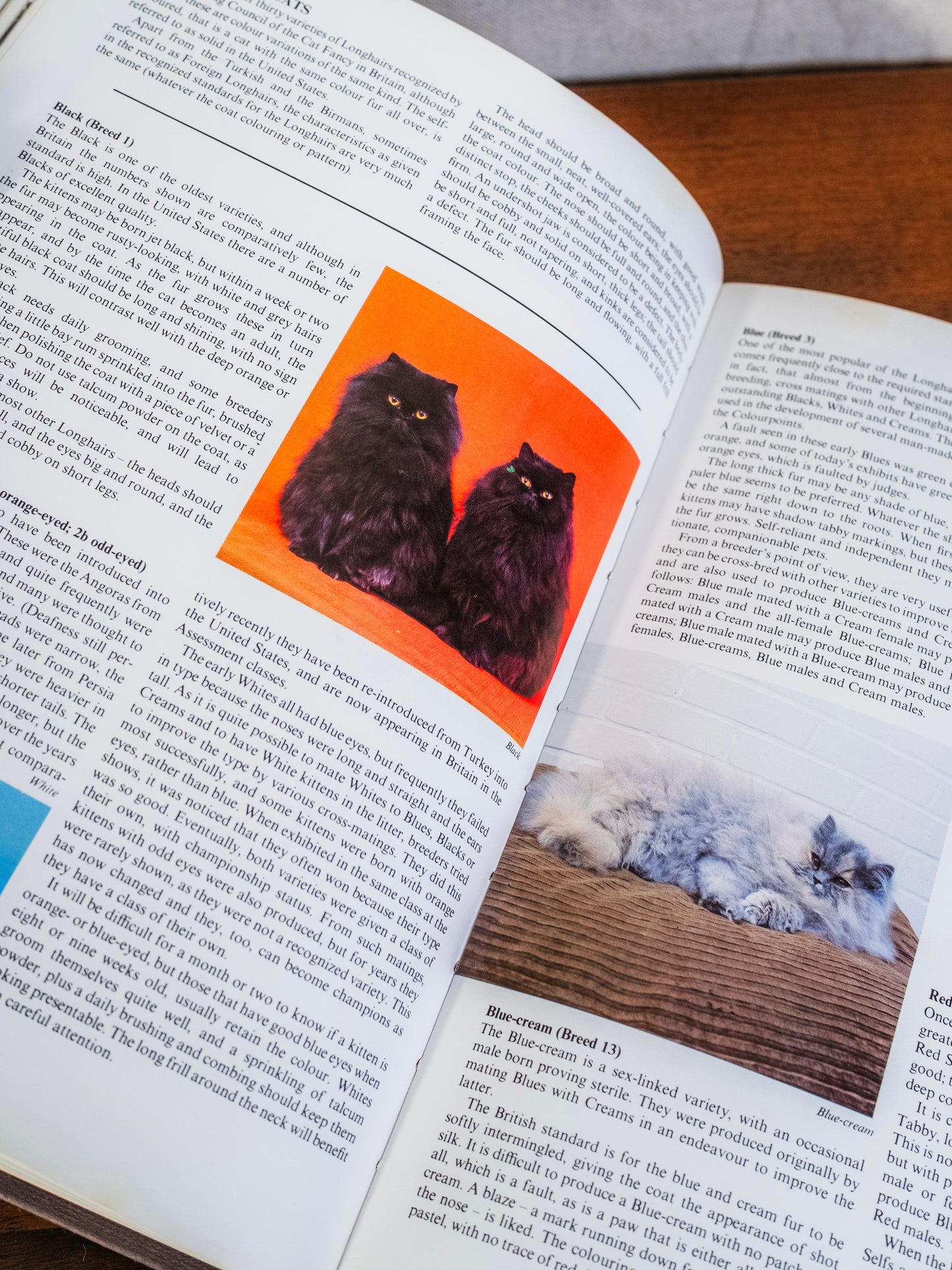 Purnell’s Pictorial Encyclopedia of Cats Book