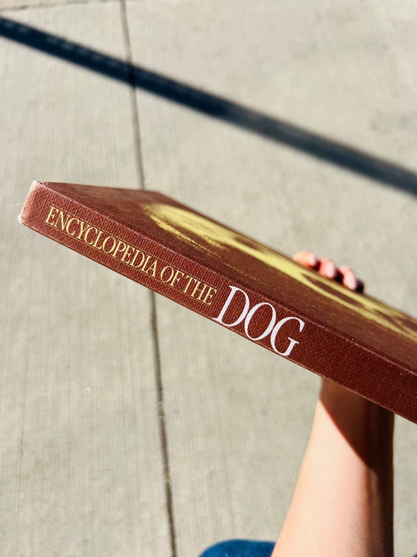 Vintage Encyclopedia of the Dog Hardcover Book