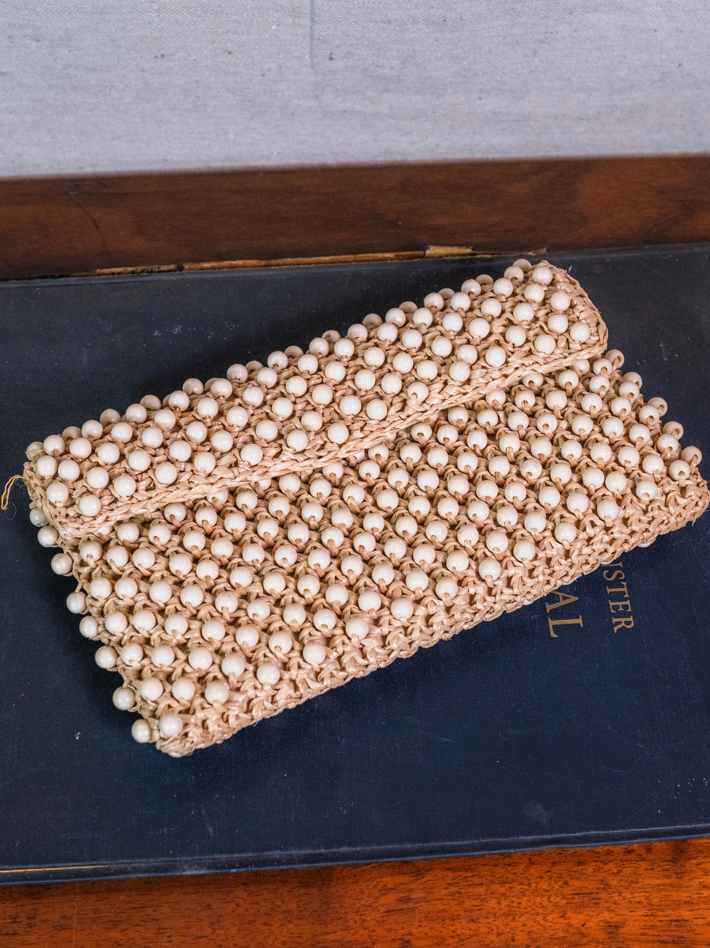 Vintage 1950s Ritter “It’s in the Bag” Beaded Clutch