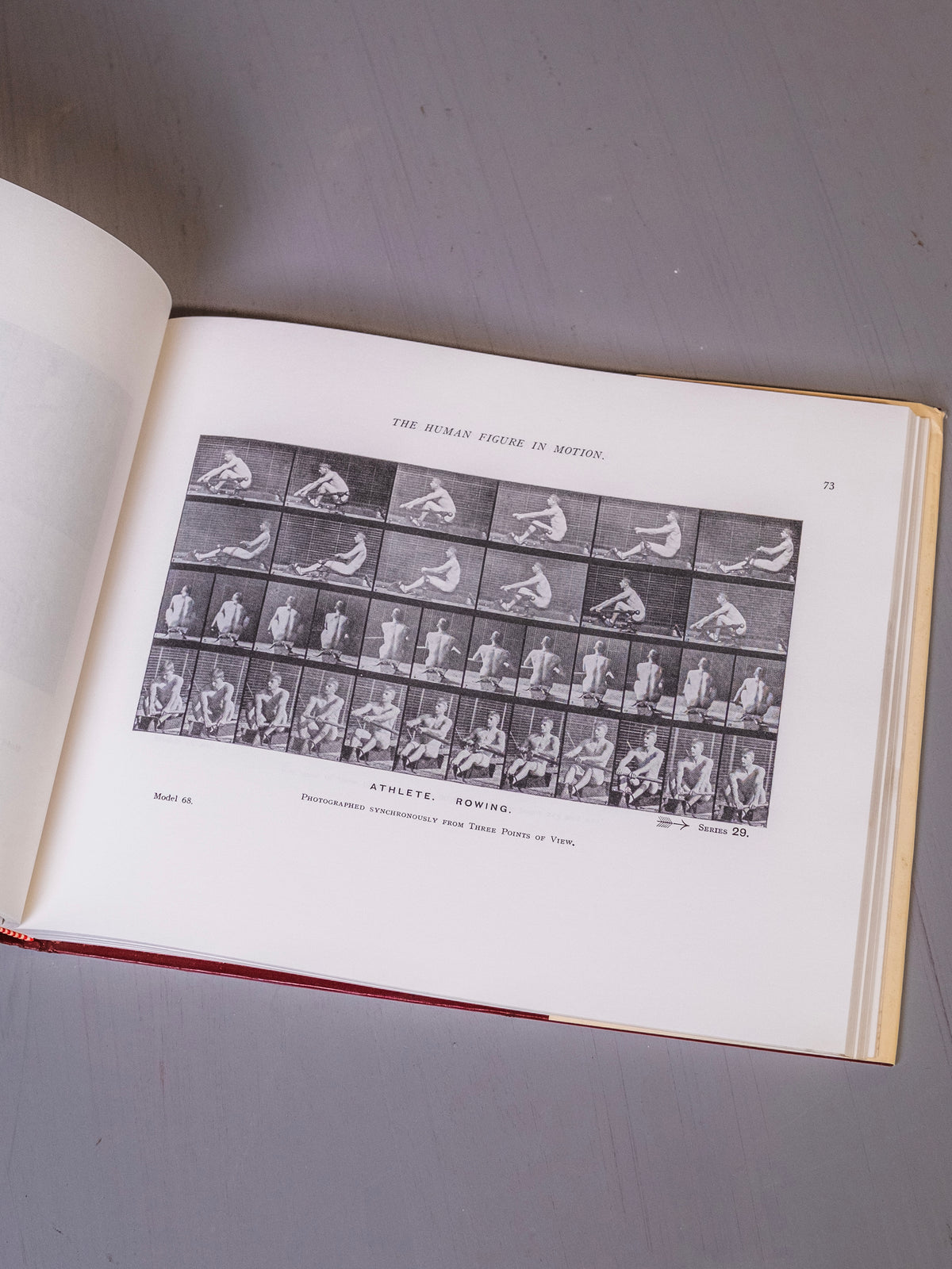 The Human Figure in Motion Book