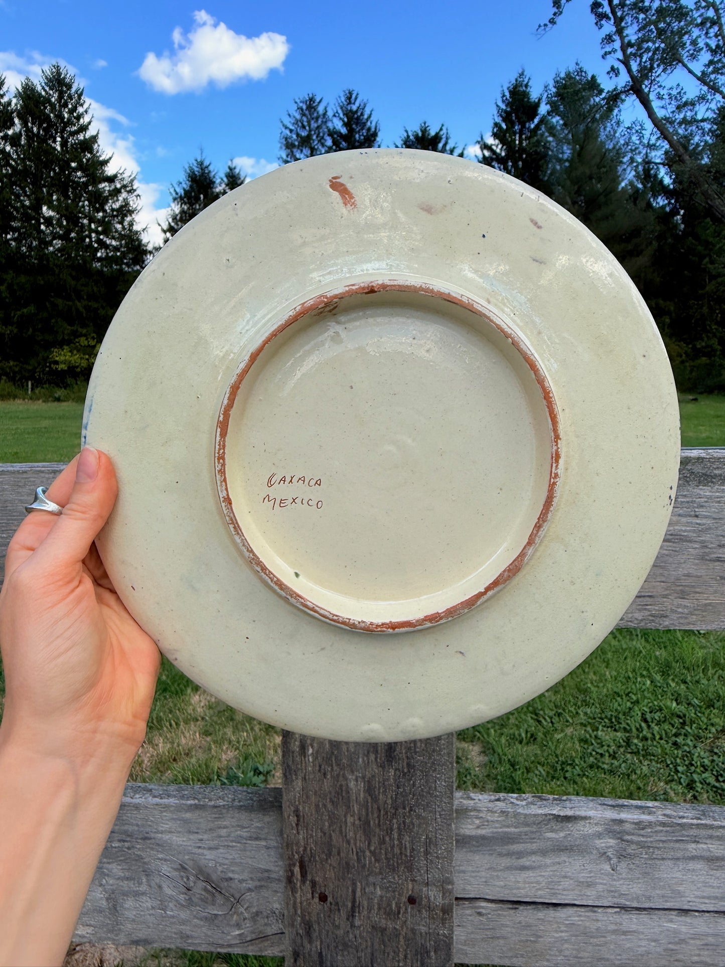 Vintage 1940s Terracotta Oaxaca Mexico Hand-Painted Floral Plate