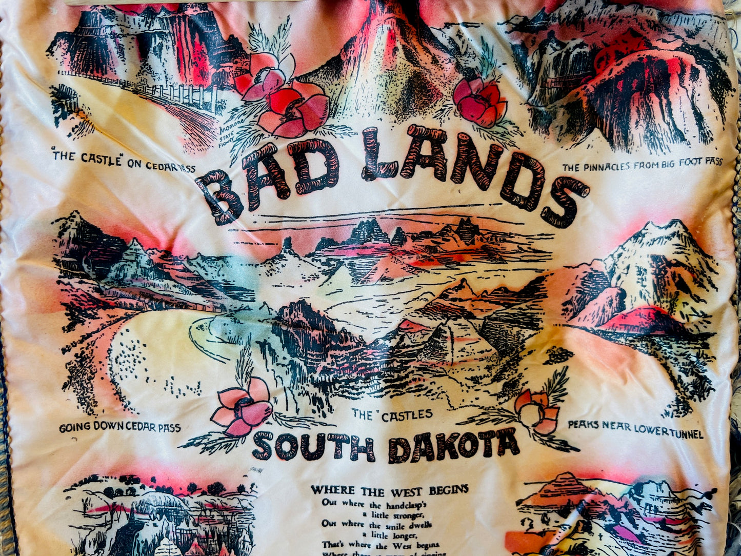 Vintage Bad Lands South Dakota Souvenir Pillow Sham