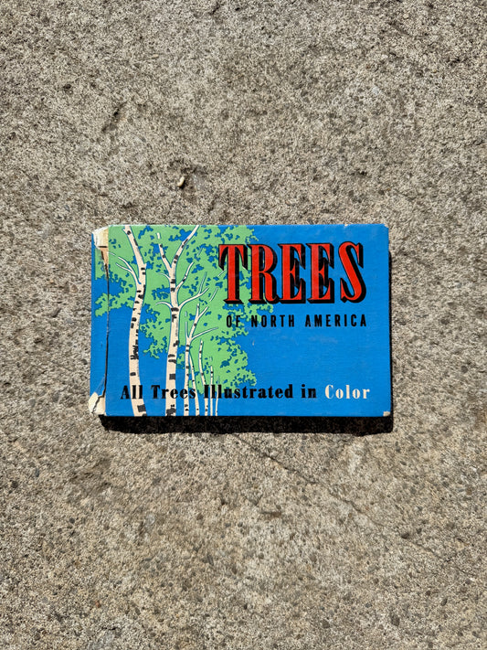 Vintage 1930s Trees of North America Mini Guide Book