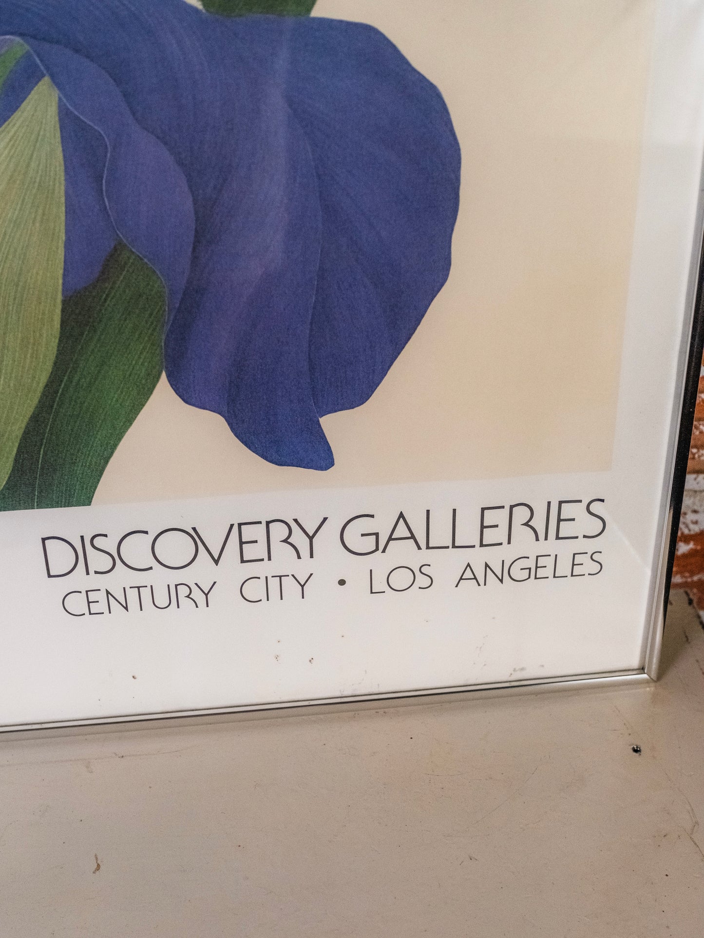 Vintage 1980s Framed Ed Cota Iris Exhibition Discovery Galleries Poster