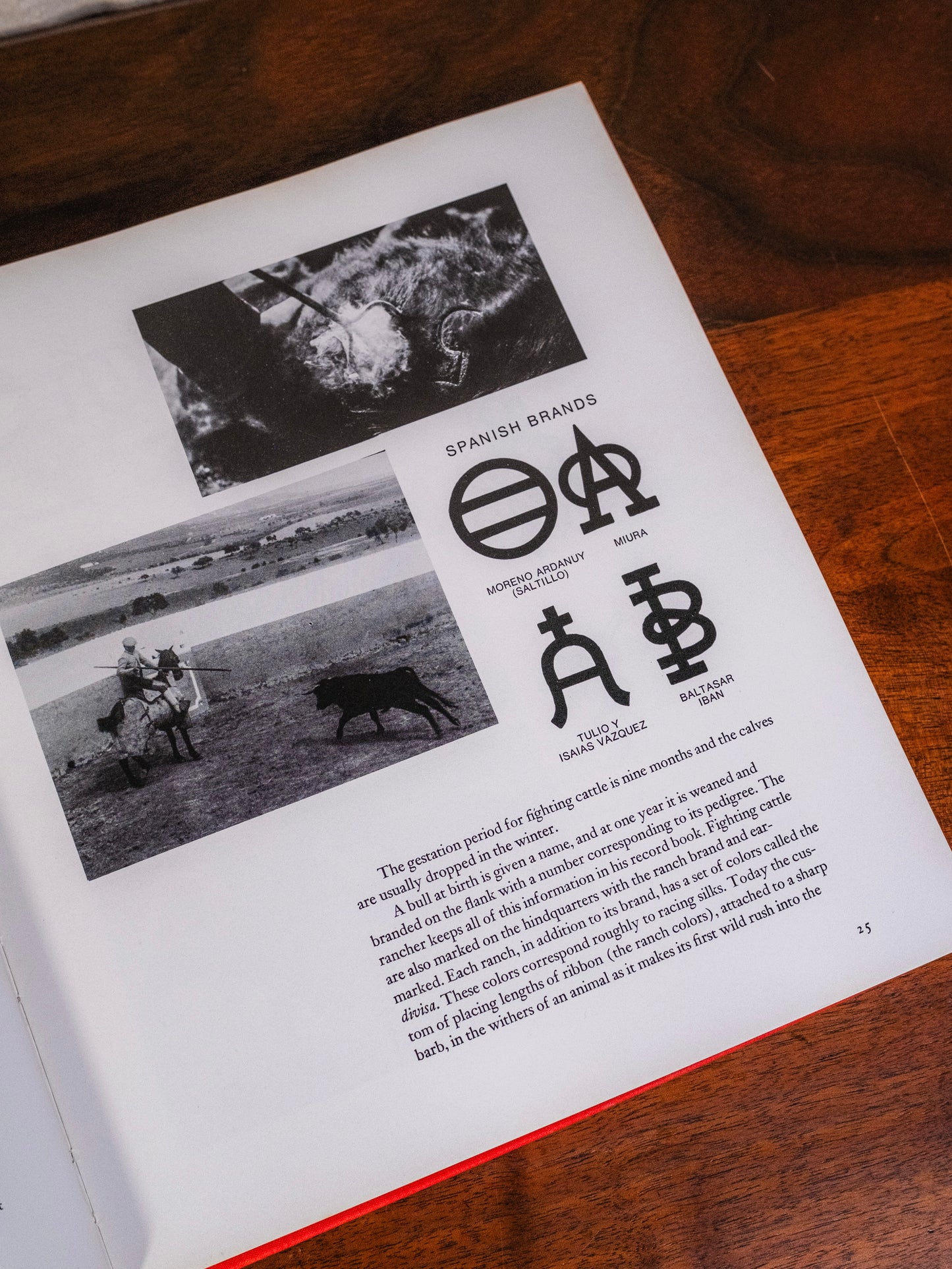 Bullfighting By John Fulton Book | Signed