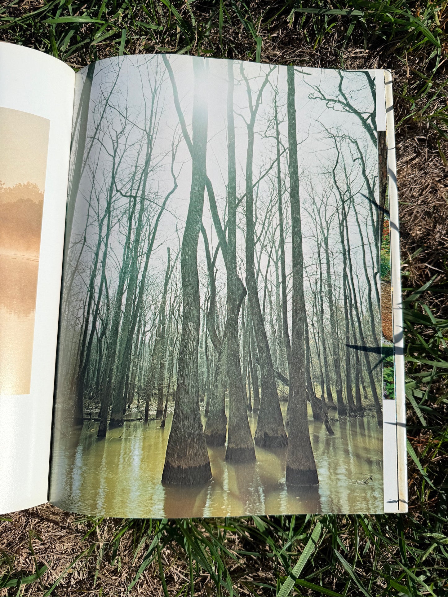 Vintage Georgia Photography Book