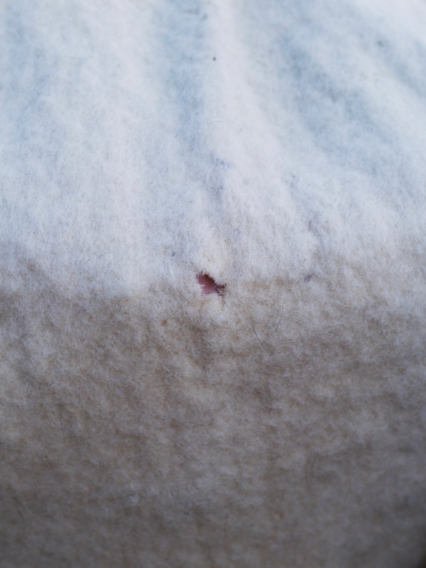 Vintage 1940s Mossfield Porritts & Spencer Pastel Striped Wool Blanket