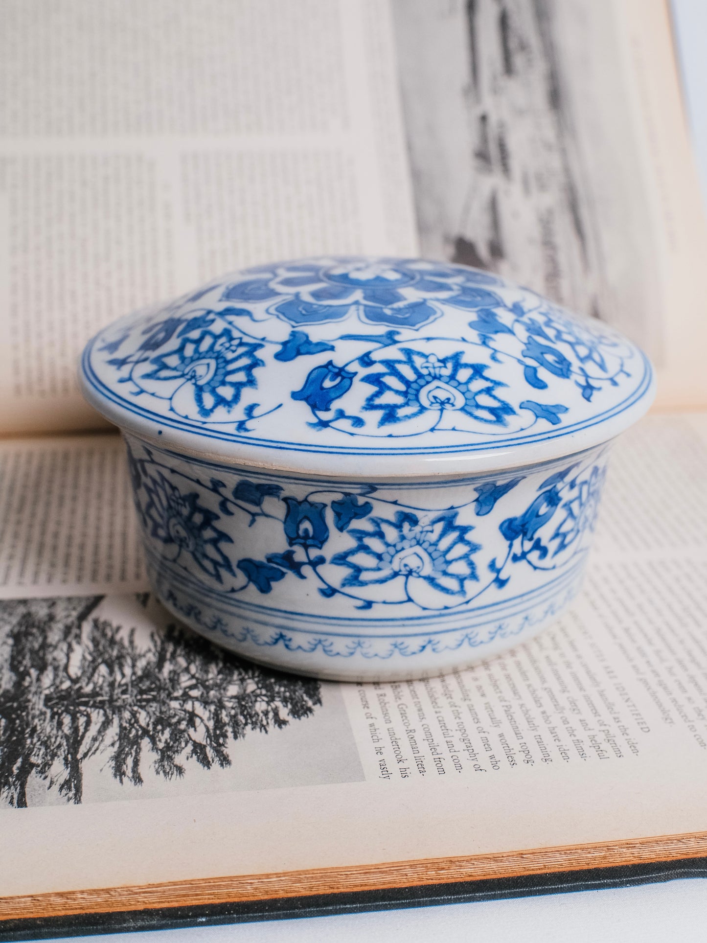 Vintage Chinese Chinoiserie Blue & White “Lily Pattern” Porcelain Lidded Dish