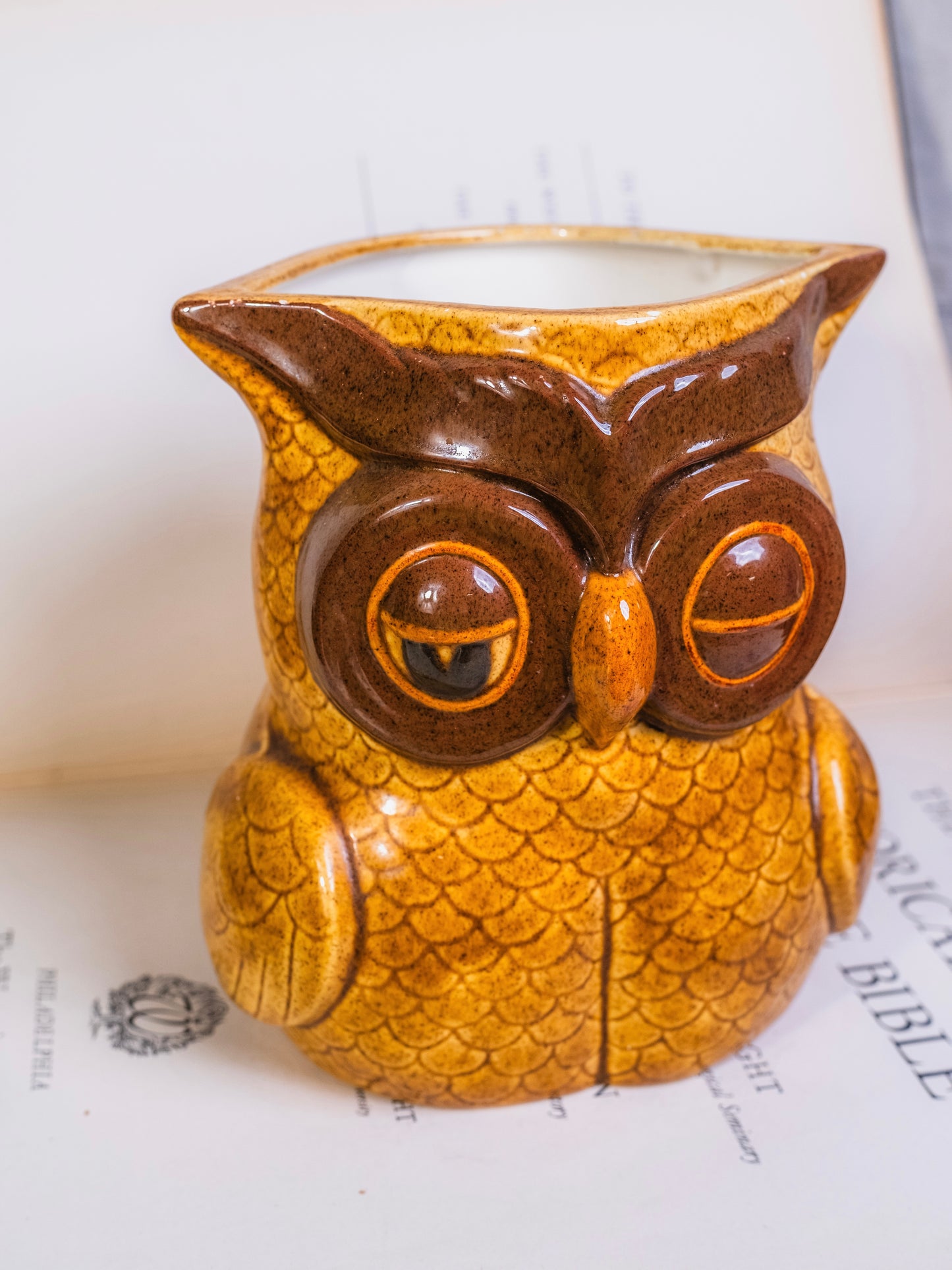 Vintage 1980s Ceramic Owl Utensil Holder | Signed