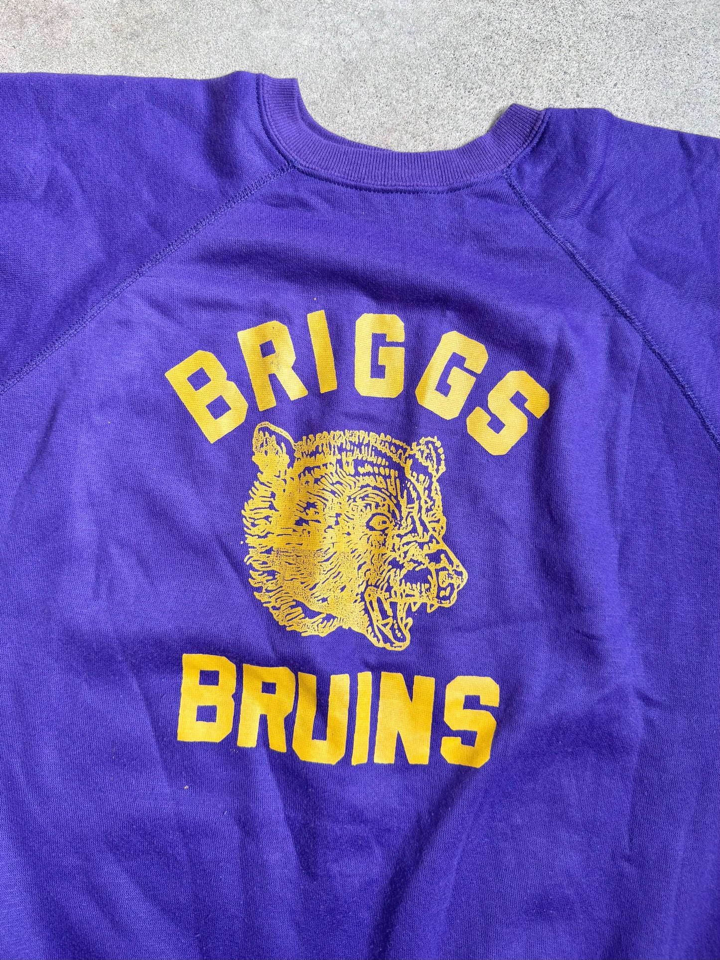 Vintage 1970s Purple & Gold Briggs Bruins Short Sleeve Sweatshirt | Large