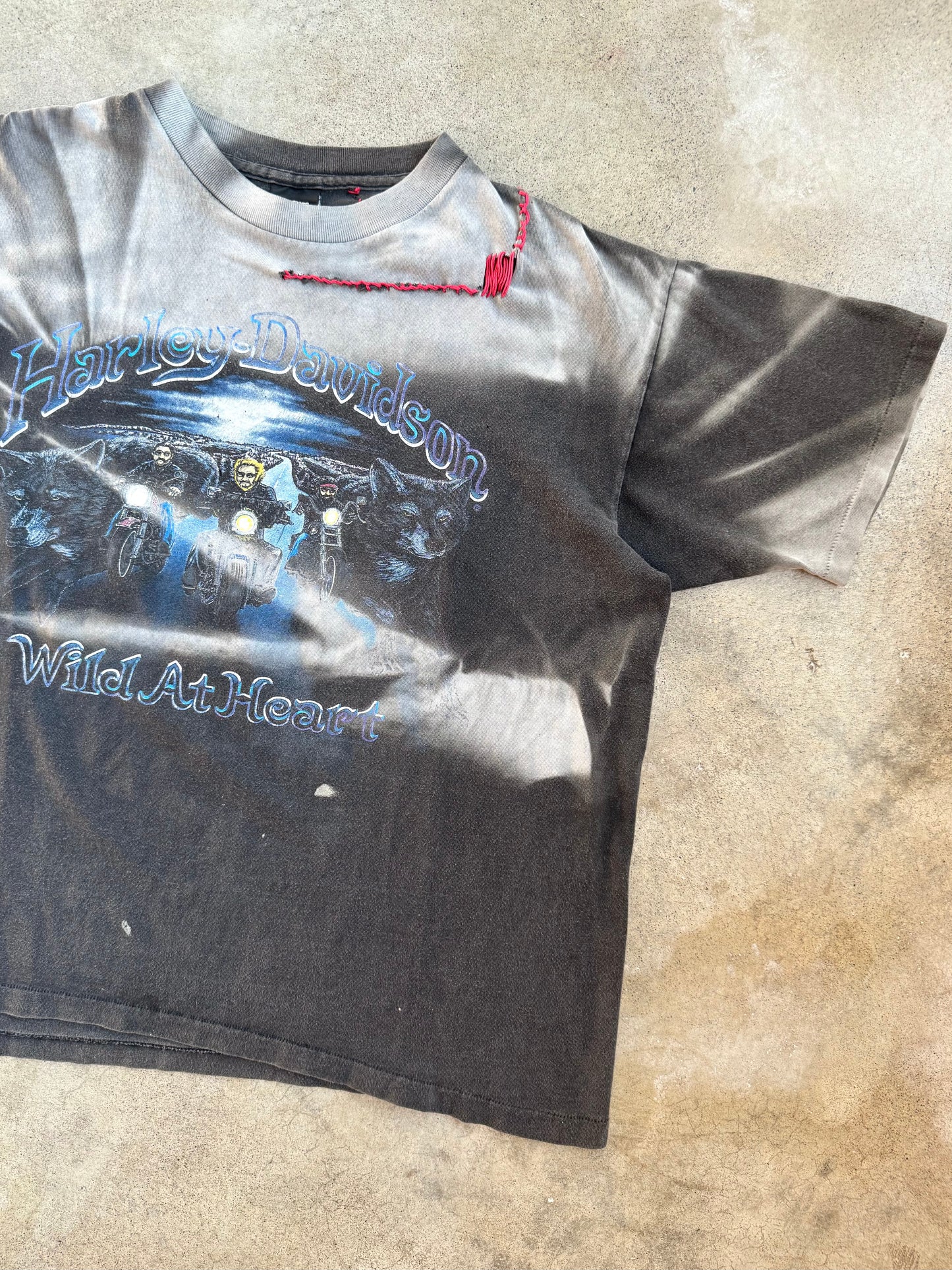 Vintage 1990s Harley Davidson “Wild at Heart” A.D. Farrow Columbus Distressed Graphic Tee | Large