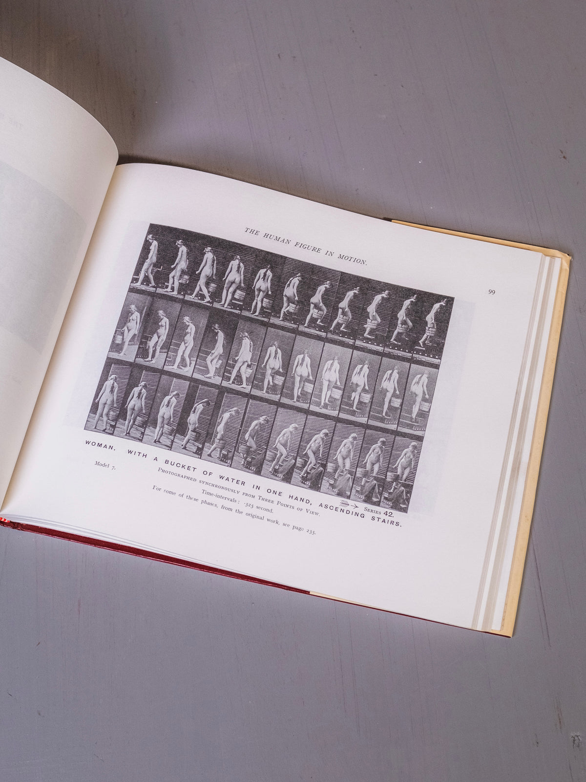 The Human Figure in Motion Book