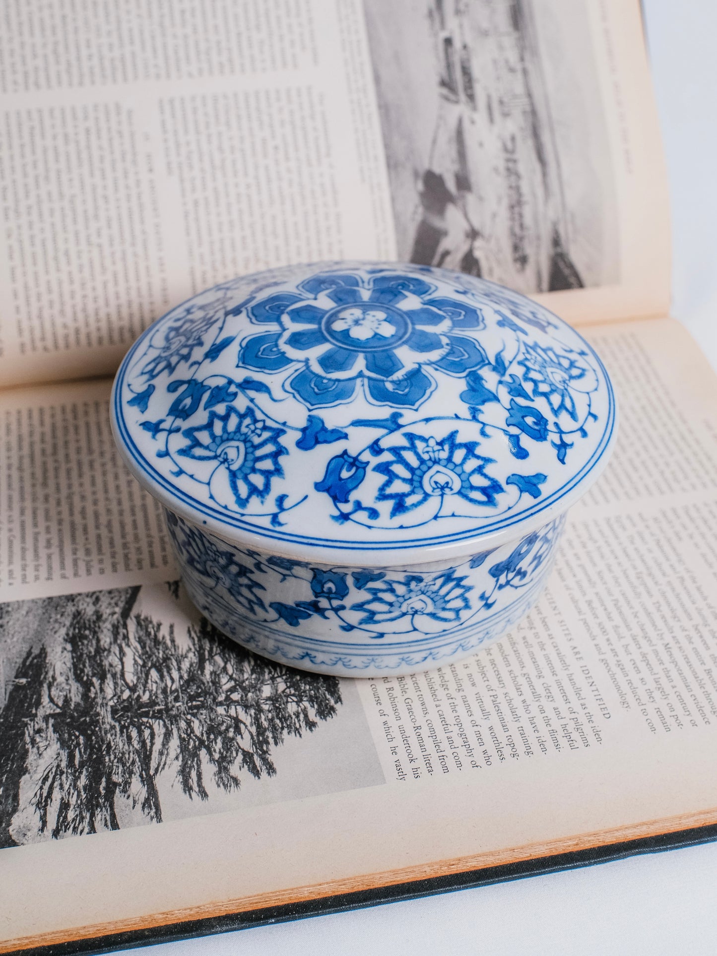 Vintage Chinese Chinoiserie Blue & White “Lily Pattern” Porcelain Lidded Dish