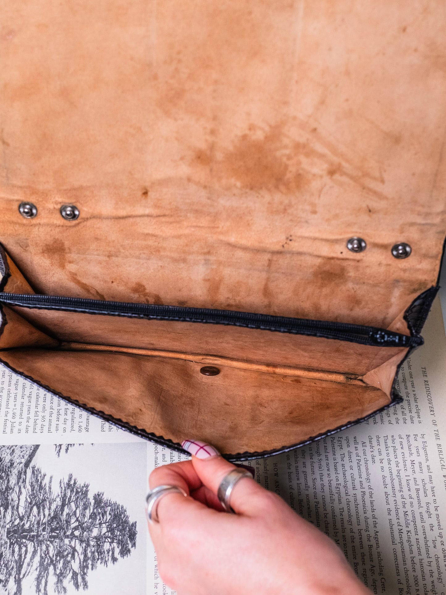 Vintage 1950s Black Snakeskin Clutch