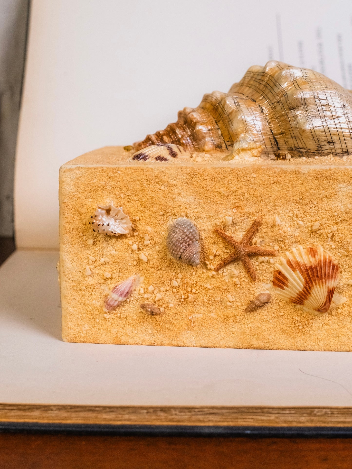Vintage 1980s Sandy Beach Seashell Tissue Box Cover