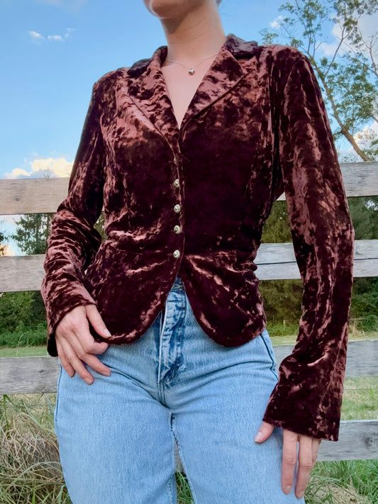 Vintage 1990s Robbie Bee Brown Crushed Velvet Button-Up Blouse | Large