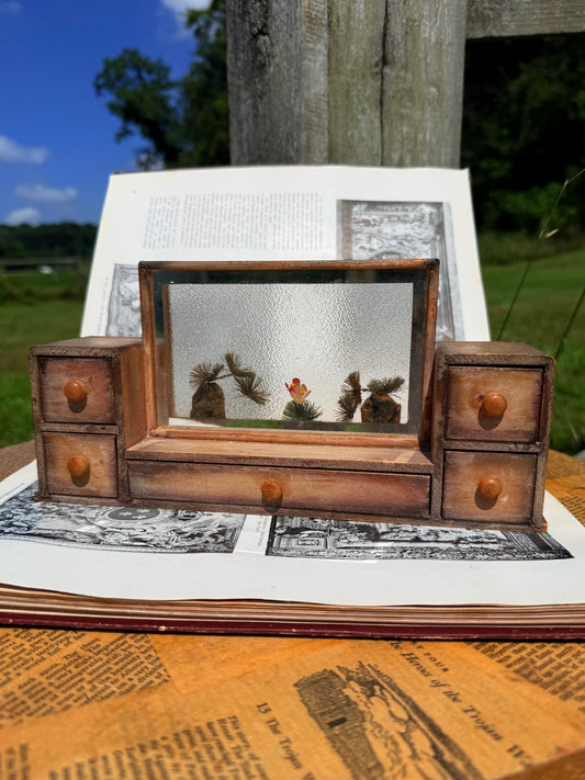 Vintage 1950s Wood Terrarium Souvenir Jewelry Box