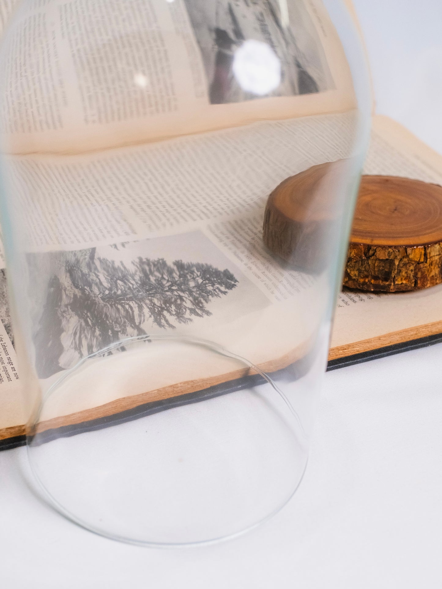 Vintage Glass Dome w/ Wood Base