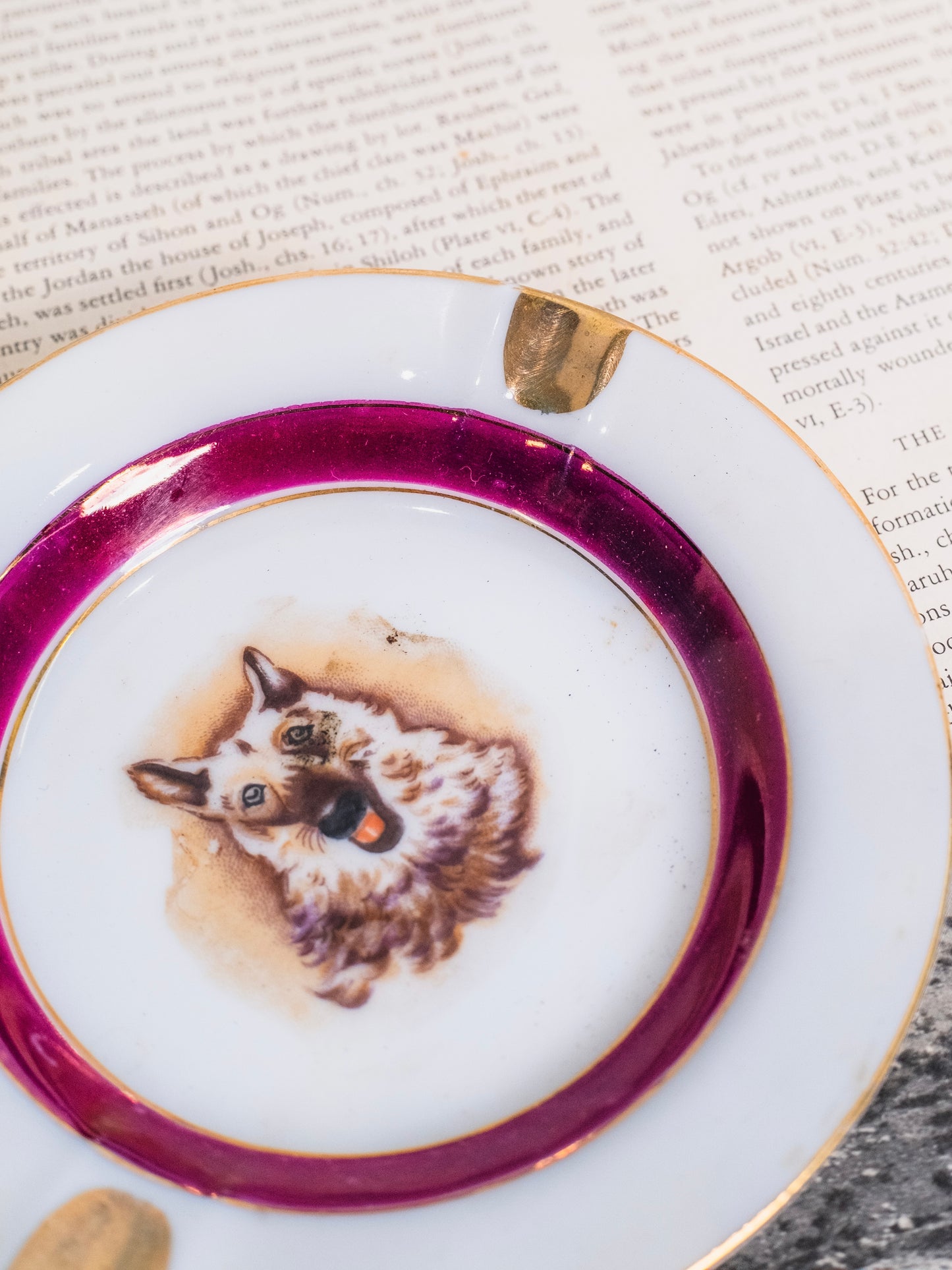 Vintage 1950s Ceramic German Shepherd Ashtray