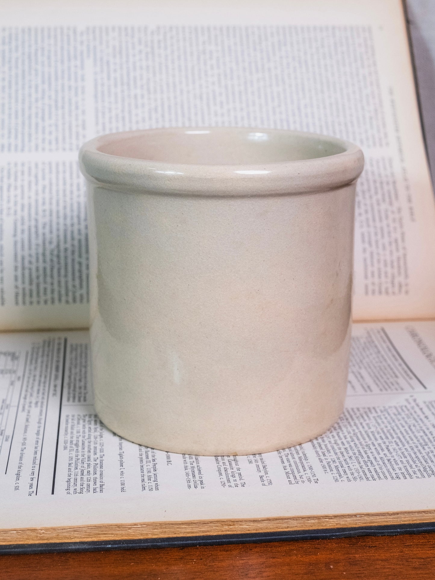 Vintage 1970s Robinson Ransbottom Roseville Pottery Apple Utensil Jar