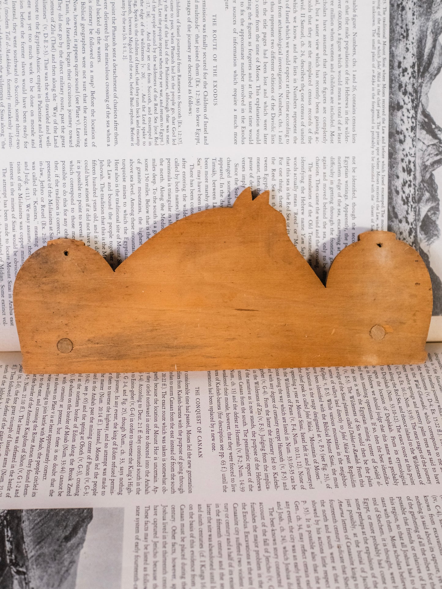 Antique Hand-Carved Wood Folk Art Equestrian “Holliday’s Cove” Peg Wall Hang